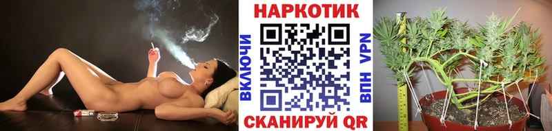 Где найти наркотики Лысьва A PVP OMG ССЫЛКА Каннабис ГАШИШ