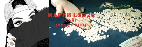 прущие грибы Вяземский