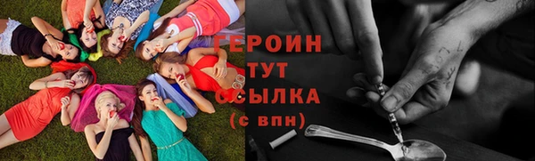 прущие грибы Вяземский