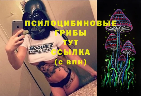 прущие грибы Вяземский