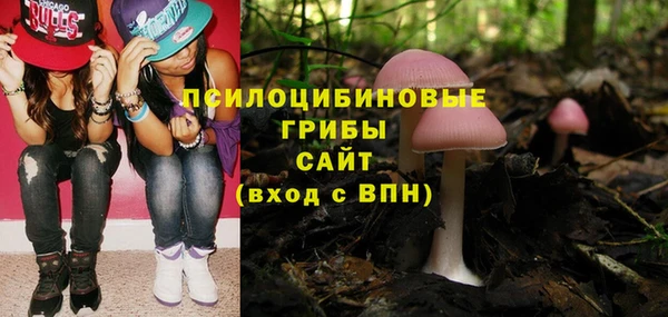 прущие грибы Вяземский
