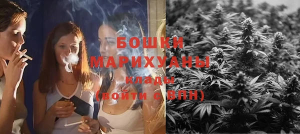 прущие грибы Вяземский