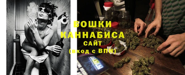 прущие грибы Вяземский