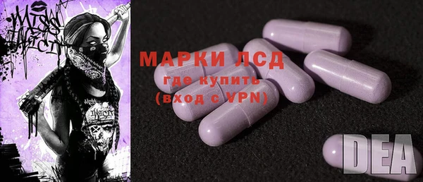 прущие грибы Вяземский