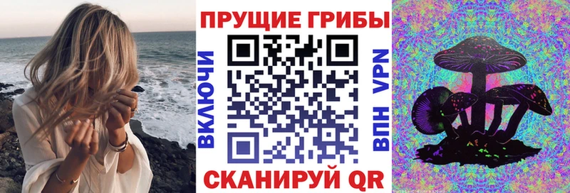 что такое   Лысьва  нарко площадка Telegram  Псилоцибиновые грибы Cubensis 